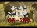 육상동물 전투력 랭킹 TOP21 [동물싸움순위]