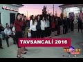 Tavsancal 2016