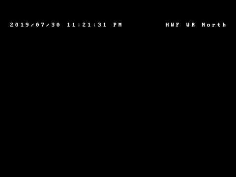  Hancock Wildlife Foundation Live Stream