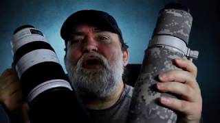 Canon 400Mm Prime Vs 100-400Mm Zoom