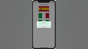 Project 2 - Guess the Flag