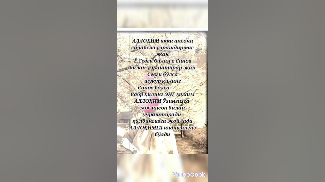 Севги ва Синов - YouTube