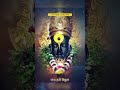 विठ्ठल स्टेटस | vitthal status | God vitthal status | Panduranga status | vithu mauli status | #God