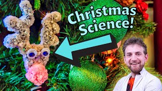 Growing Christmas ornaments with Borax and supersaturated solutions!