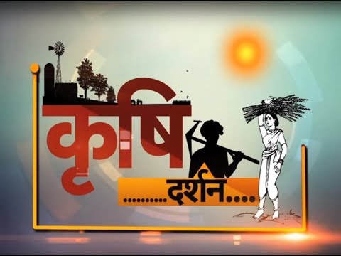 वीडियो: बीट्स के बीज (18 फोटो): खुले मैदान में रोपण। वसंत में इसे कितनी दूरी पर लगाना चाहिए? रोपण से पहले रोपाई की सही खेती