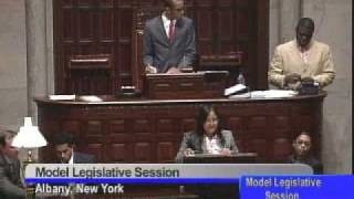 2011 Model Legislative Session - April 18, 2011