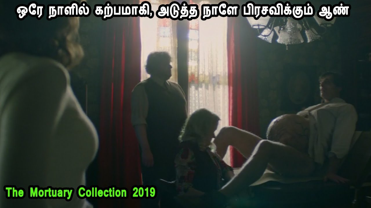 கற்பமாகும் ஆண்கள் MR Tamilan Dubbed Movie Story & Review in Tamil