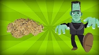 FRANKENSTEIN STRAIN REVIEW / TRIPLE TOKES