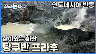 반둥의 최고 자랑 땅꾸반 쁘라후 화산 덕분에 살아가는 마을 사람들! |인도네시아 반둥 활화산 족욕 머드 마사지|인도네시아 여행지|세계테마기행|#골라듄다큐