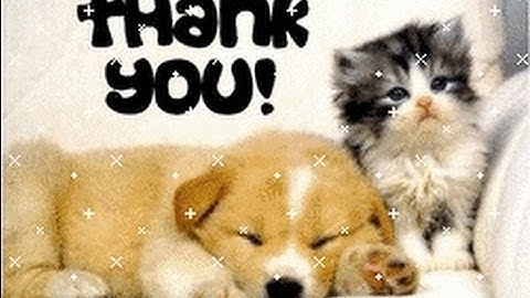 2:28 MOAB Against Full Party of 2.5 KDrs + THANK YOU!!! *MW3*