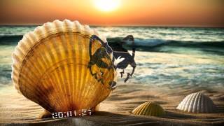 Joe Stone - The Party (High Pitched)