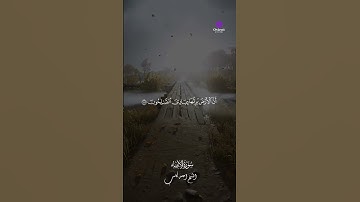 📖 لحظات لن تنساها مع تلاوة خاشعة بصوت الشيخ أحمد كاسب 🕊️