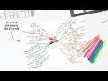 3 bonnes raisons de se mettre au mindmapping