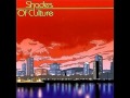 Shades of Culture - Mindstate