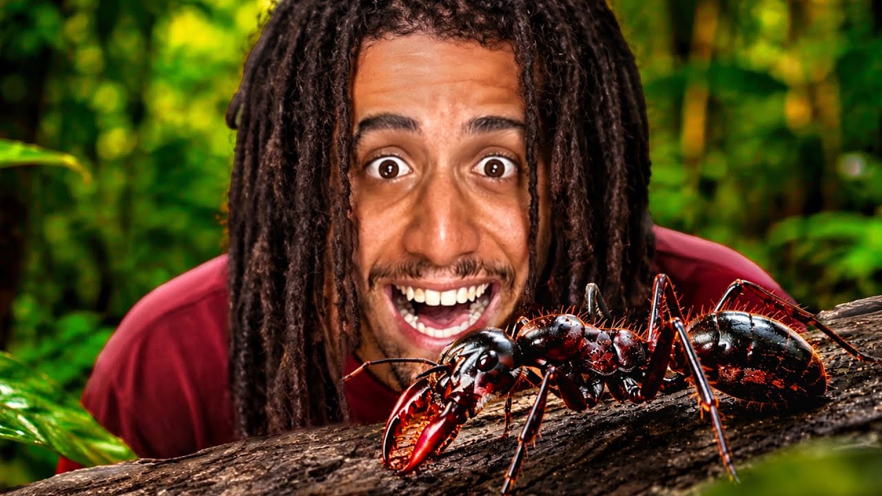 EM BUSCA DA FORMIGA BALA (TUCANDEIRA) - A mais DOLOROSA do MUNDO
