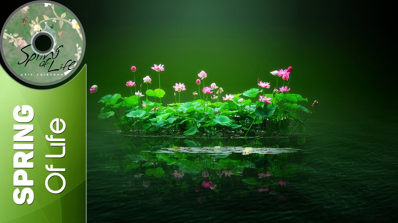 Ver Eric Chiryoku - Lotus Flower || Spring Of Life no YouTube Ver Eric Chiryoku - Lotus Flower || Spring Of Life no YouTube