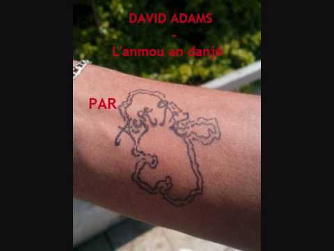 David Adams - Lanmou an danj