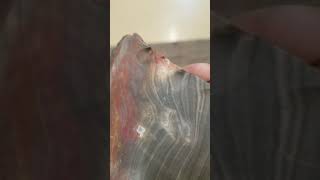 Flint ridge nethers