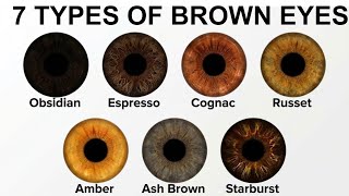 Pros And Cons Of Your Brown Eye Color Type