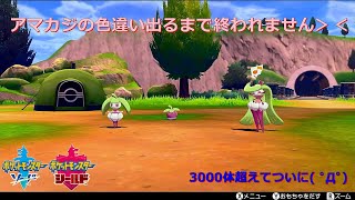 アマカジの色違い狙ってみました ポケモン剣盾 Youtube