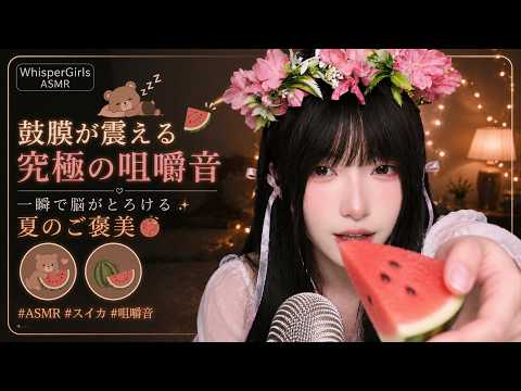 【睡眠用ASMR】鼓膜が震える🍉 究極のシャリシャリ咀嚼音。一瞬で脳がとろける夏のご褒美 #ASMR #スイカ #咀嚼音#睡眠導入