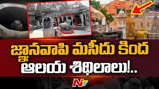 ASI report says Gyanvapi mosque built on Hindu temple | NTV