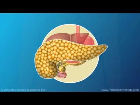 Vídeo: Hormonas Pancreáticas Y Sus Funciones En El Cuerpo