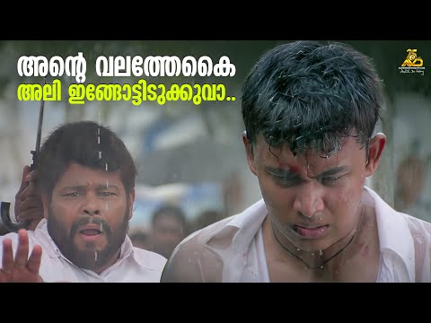 അന്റെ വലത്തേകൈ അലി ഇങ്ങോട്ടിടുക്കുവാ..| Ali Bhai Movie | Mohanlal | Siddique | Mass Scene | Innocent