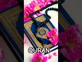 AL QURAN URDU TRANSLATION RECITATION MASHALLAH BEAUTIFUL VERSES 🤍