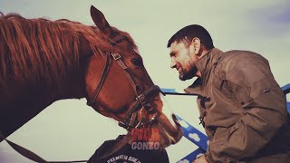 Как в ДНР лошади лечат душу и тело раненых бойцов