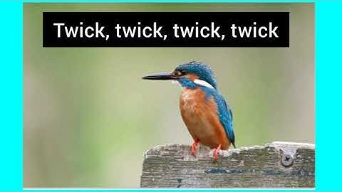 how to sing a song in English | class 6  | Term 1 | Poem | Trees |Warm up Song | Twick twick twick