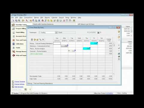 Sage Timeslips: Basics: Time Sheet