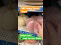 High &amp; Low Options Fall Decor #dollartreefinds #falldecor #lookforless #dollartree #shorts #ytshorts