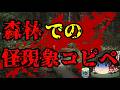 怖いスレシリーズ『森林での怪現象コピペ』
