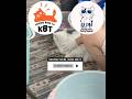 Mandi dulu || Kucing Lucu Paling Ngakak Part 1917 || #funny #shorts #fyp