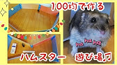 ワンコインでお散歩サークルdiy作り方 ハムスター Youtube