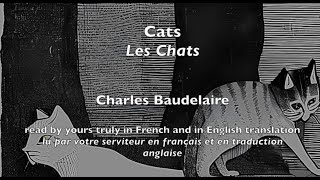 "Cats" by Charles Baudelaire, read in French and in my English translation screenshot 5