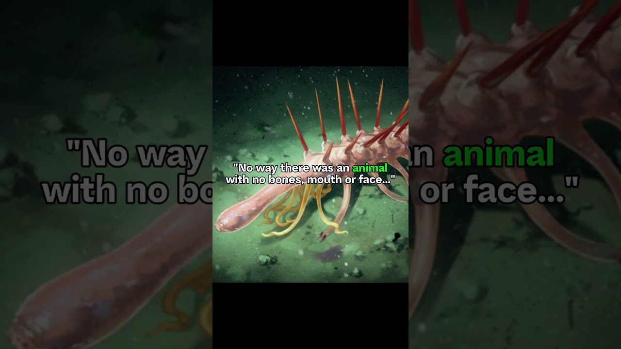 The name of it is crazy 💀