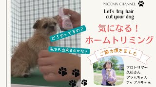 バリカン 犬用 犬 猫 ペット コードレス トリミング 日本語説明書付 静音 充電式 低騒音 ペット用品 　ペット用バリカン24枚刃 トリミング やり方