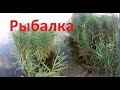 Рыбалка в Херсонской области на Ставках