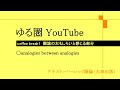 coffee break1 圏論のおもしろいと感じる部分