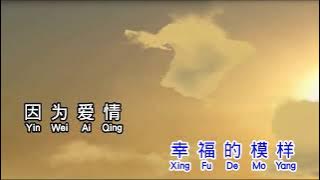 莫文蔚 Karen Mok  因为爱情  yin wei ai qing