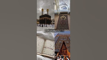 قرآن كريم - آيات بيّنات من سورة الفتح - لفضيلة الشيخ ياسر الدوسري