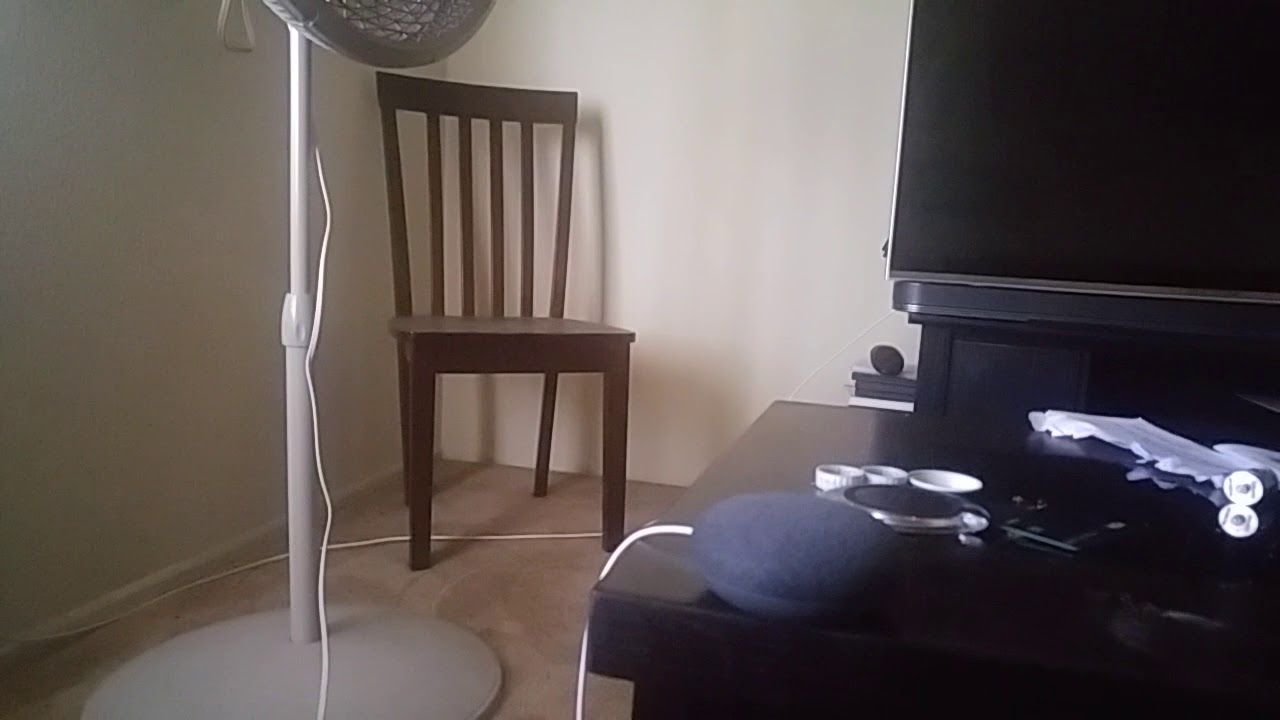 thinkeco google home