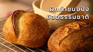 ฝึกทำขนมปังซาวโด ขนมปังยีสต์ธรรมชาติ | Practice Sourdough Bread