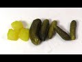 Gurke Gherkin Pickle