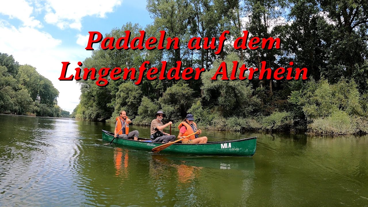 Lingenfelder Altrhein
