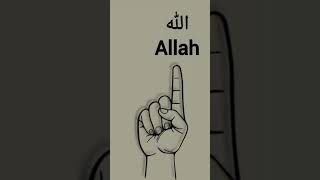 #allan Allan