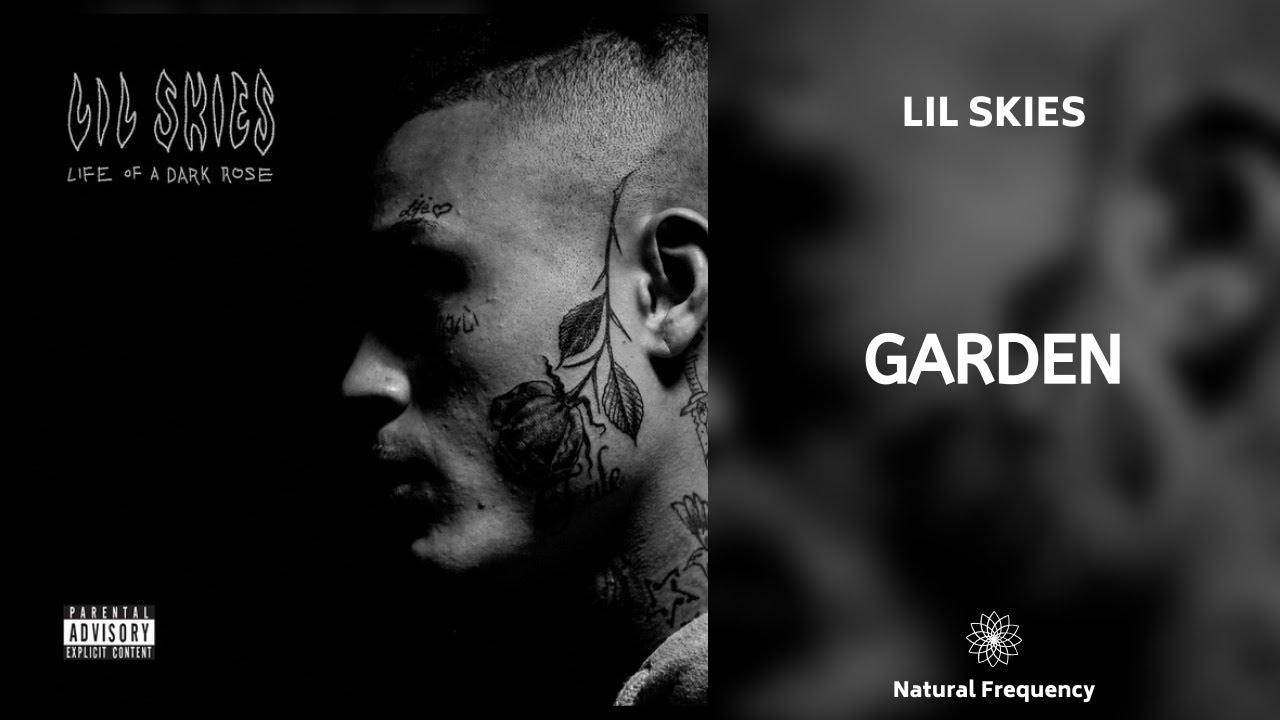 Lil Skies - Garden (432Hz)