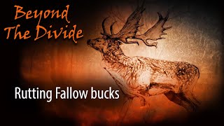 S3 EP 1 South Australian Fallow in the Rut